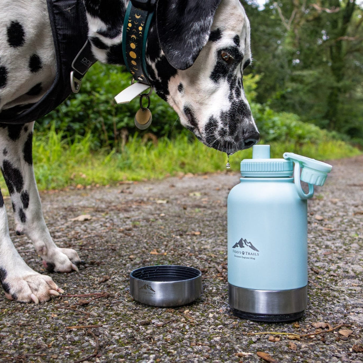 Fido’s Trails 3-in-1 Water Bottle with Detachable Bowls – Coastal Blue | 1 Litre Adventure-Ready Hydration for Dogs & Owners