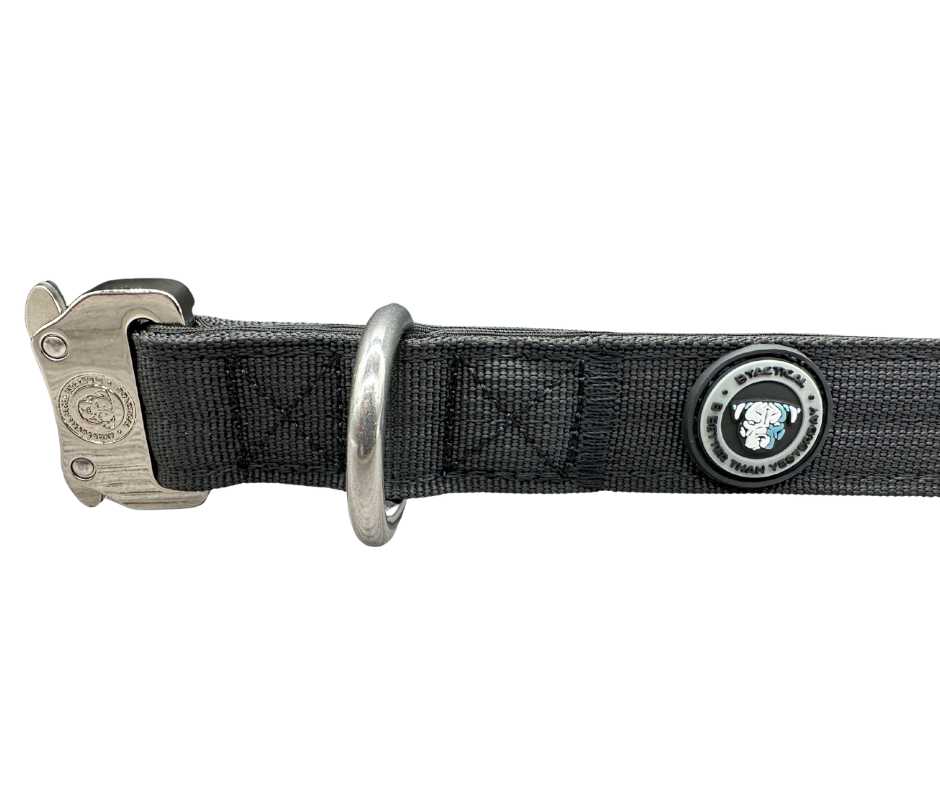 BTactical 2.5cm Nylon Dog Collar - Midnight Black