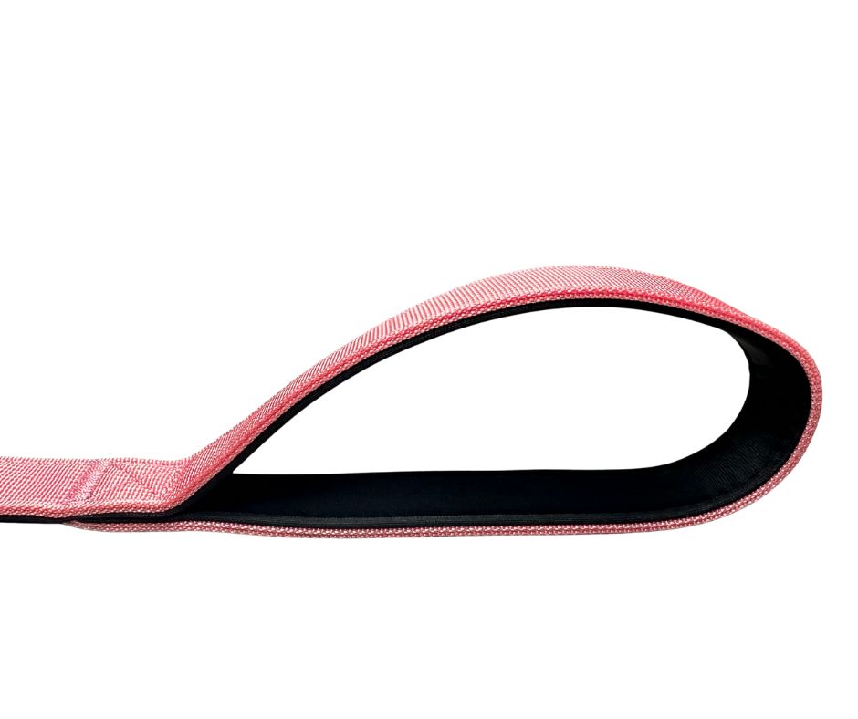 BTactical Nylon Carabiner Clip Dog Lead - Pretty Pink