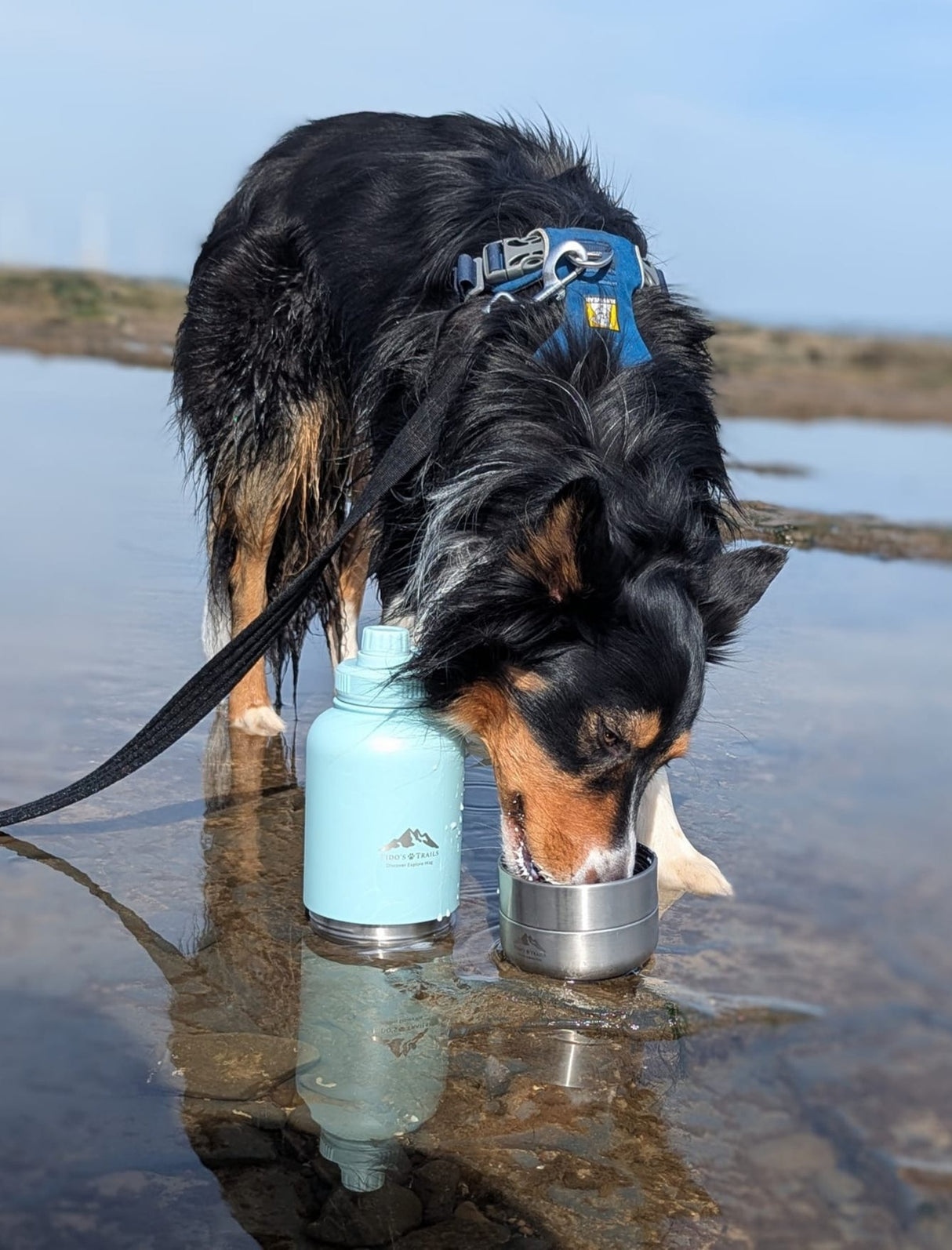 Fido’s Trails 3-in-1 Water Bottle with Detachable Bowls – Coastal Blue | 1 Litre Adventure-Ready Hydration for Dogs & Owners