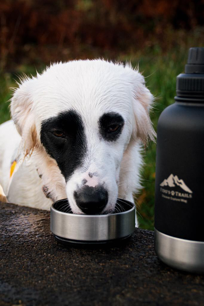 Fido's Trails 3-in-1 Water Bottle with Detachable Bowls – For Dogs & Owners, 1 Litre Black