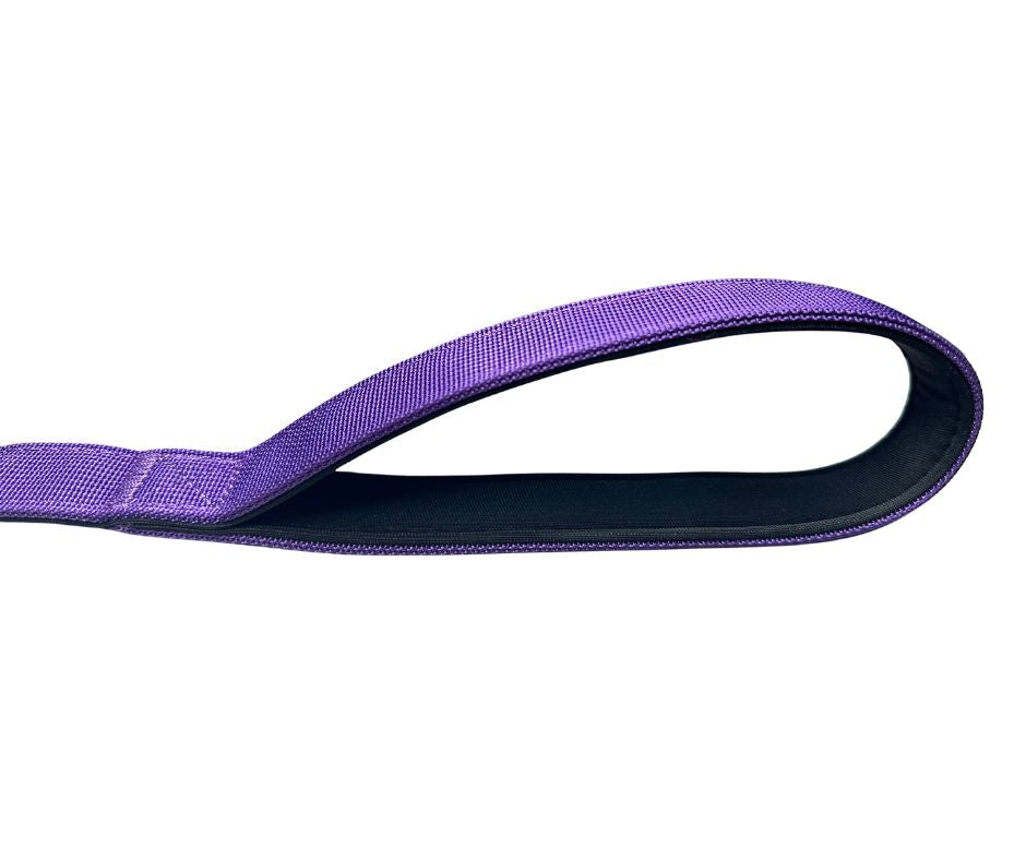 BTactical Nylon Carabiner Clip Dog Lead - Lavender Purple
