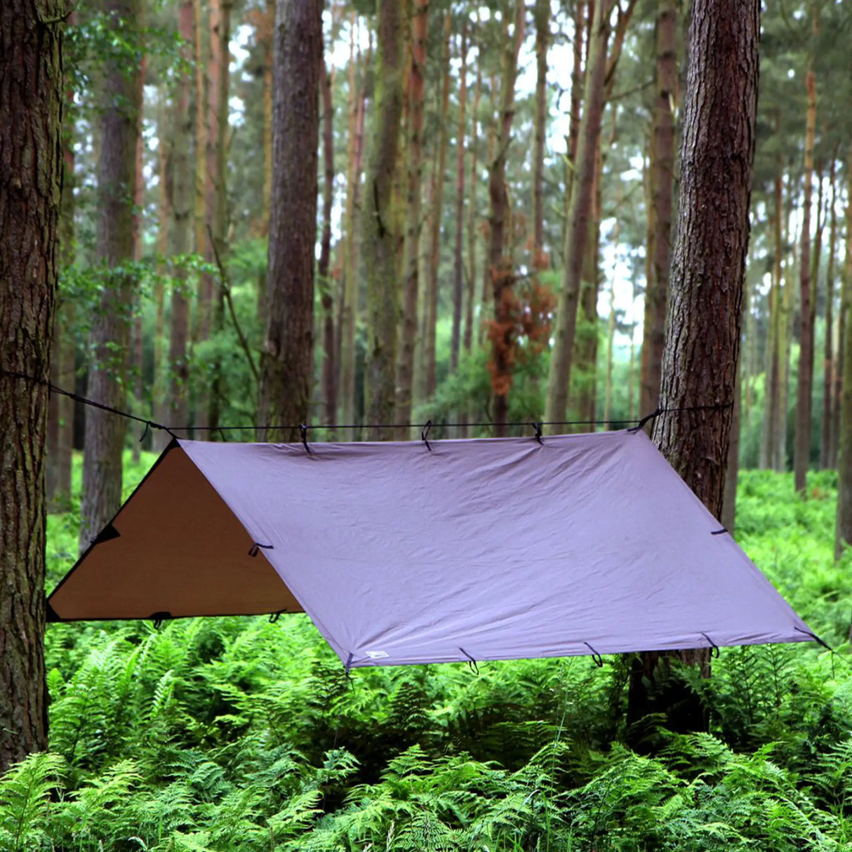 DD Tarp 3x3m in coyote brown for camping