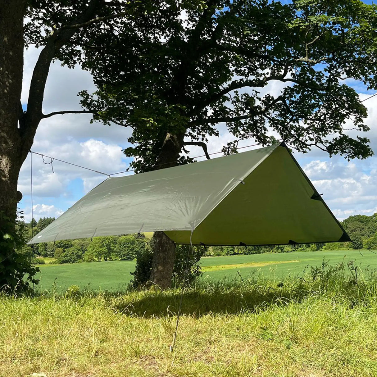 DD Tarp 3x3m in forest green for basha shelter
