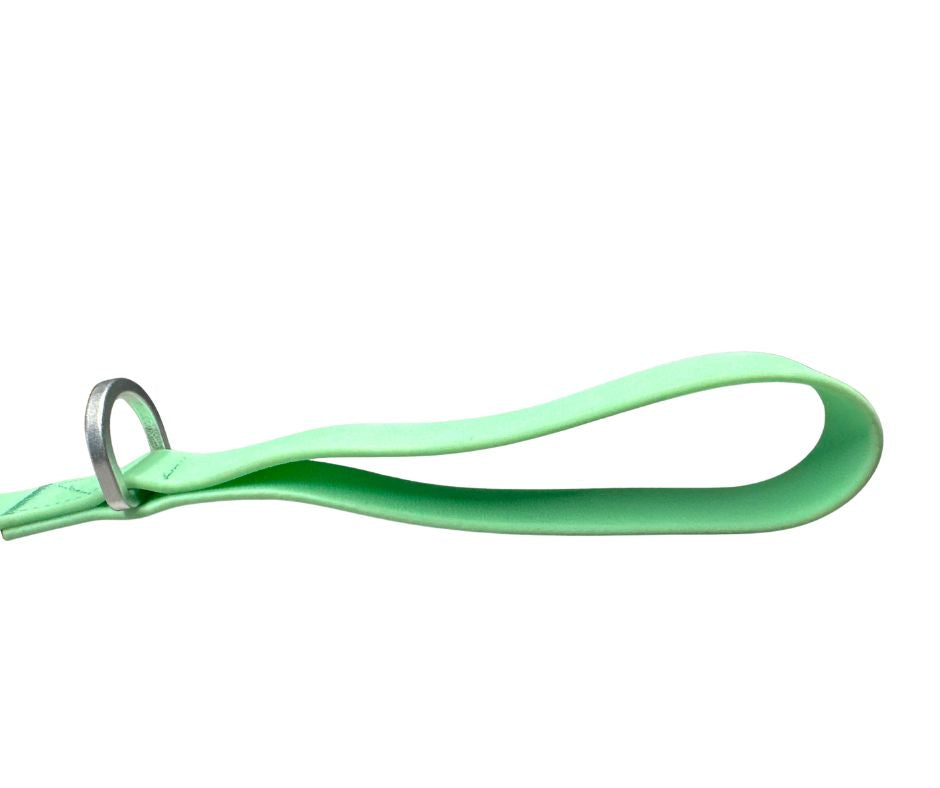 BTactical PVC Carabiner Clip Dog Lead - Pastel Green