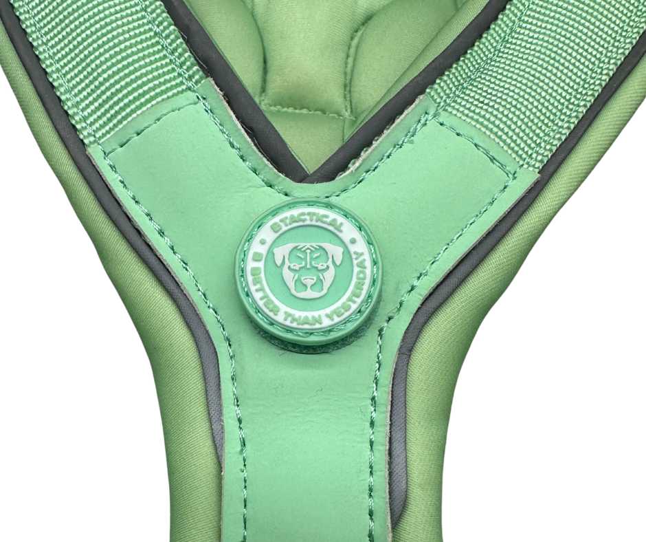 BTactical 2.5cm Slip-on Dog Harness - Pastel Green