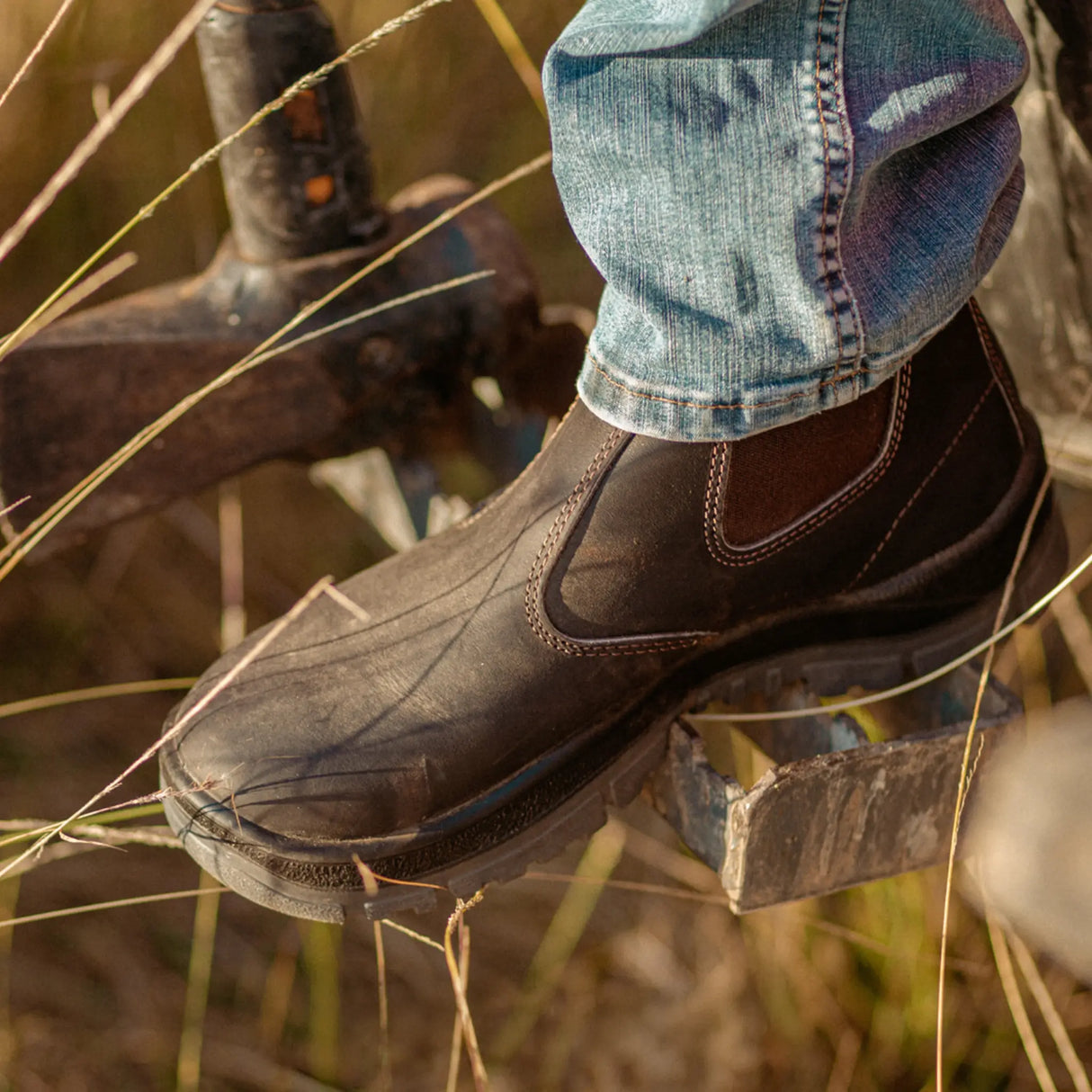 Mongrel 940030 Elastic Side Premium Chelsea Boot - Brown worn outdoors on a rural gate in a grassy paddock