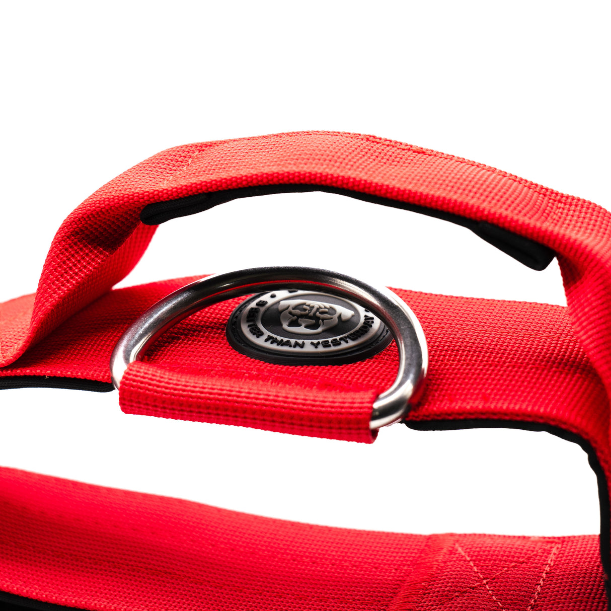 BTactical 5cm Nylon Dog Collar - Citrus Red