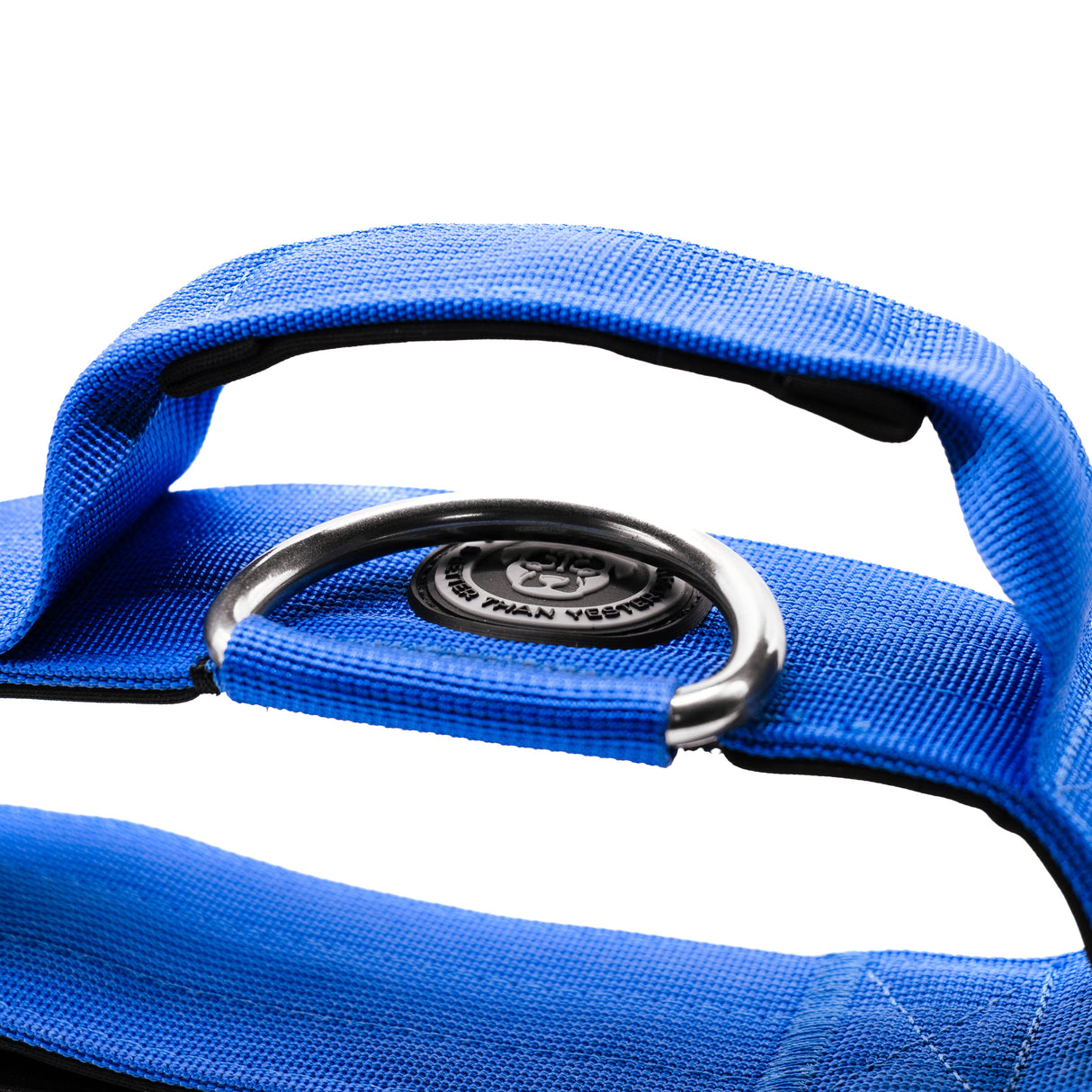 BTactical 5cm Nylon Dog Collar - Royal Blue