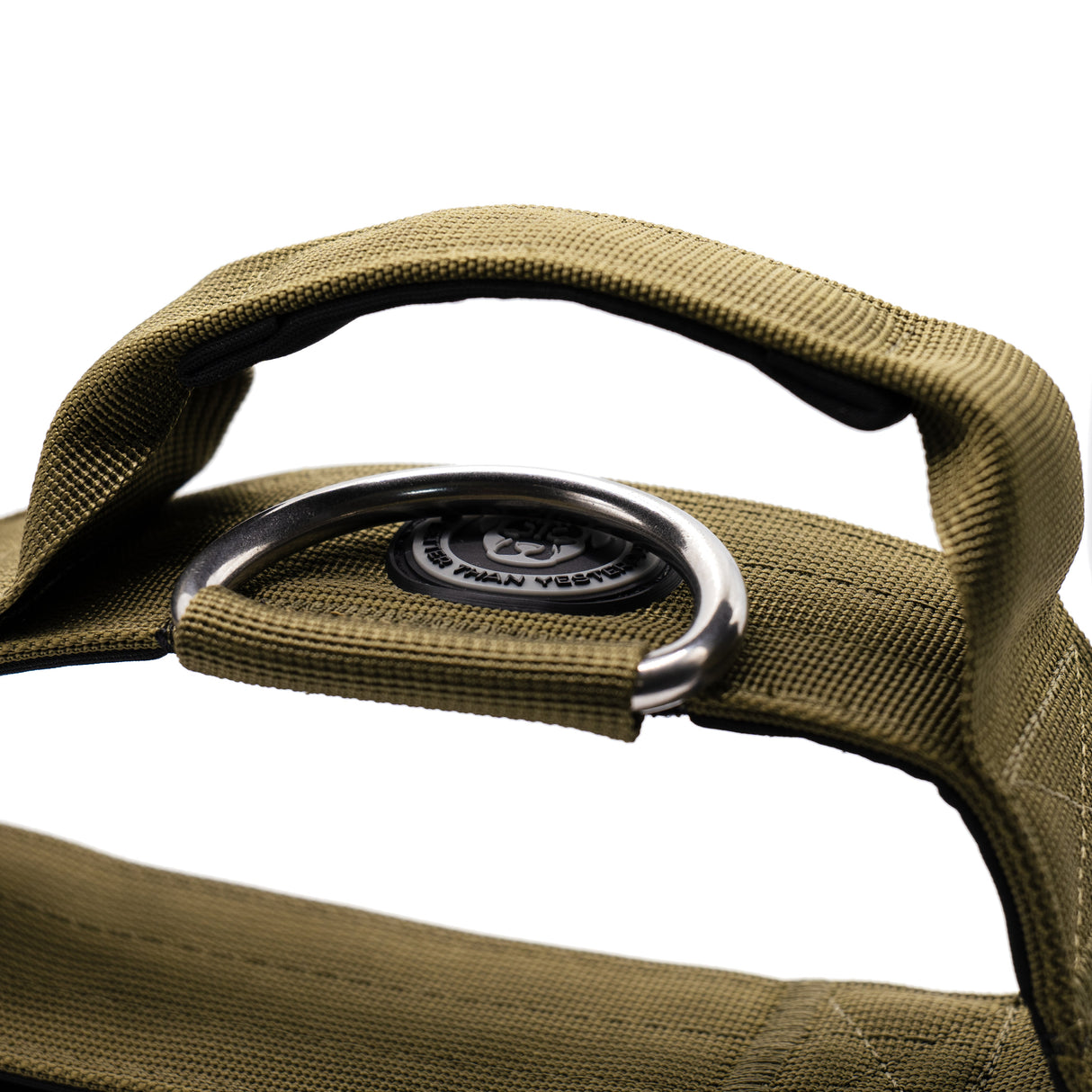 BTactical 5cm Nylon Dog Collar - Khaki Green