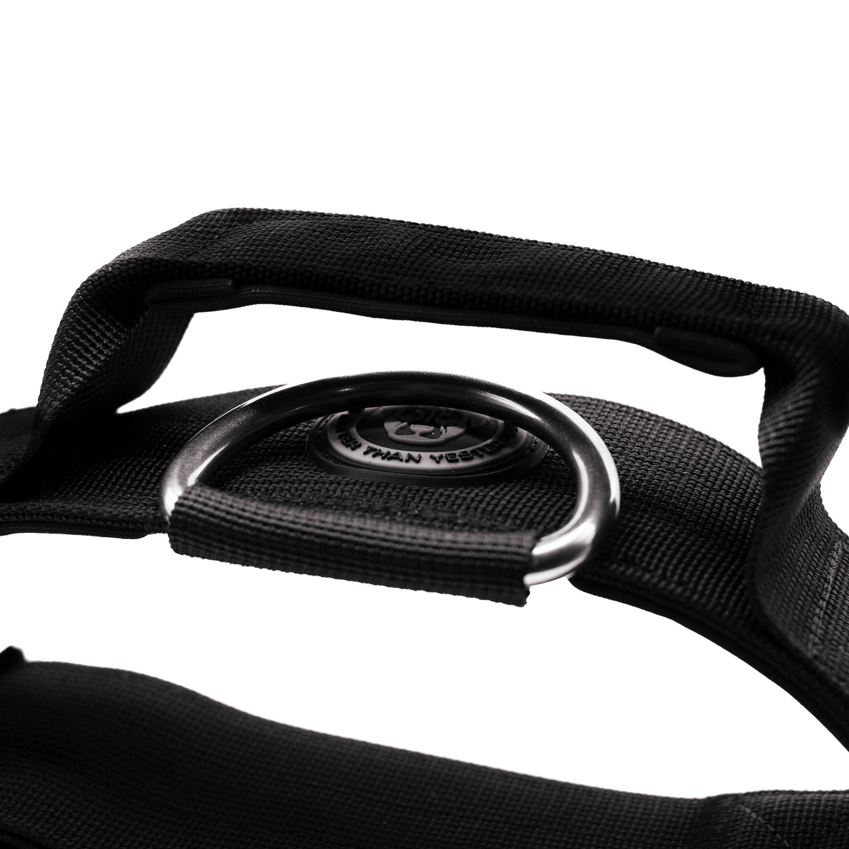 BTactical 5cm Nylon Dog Collar - Midnight Black (Aluminium Buckle)