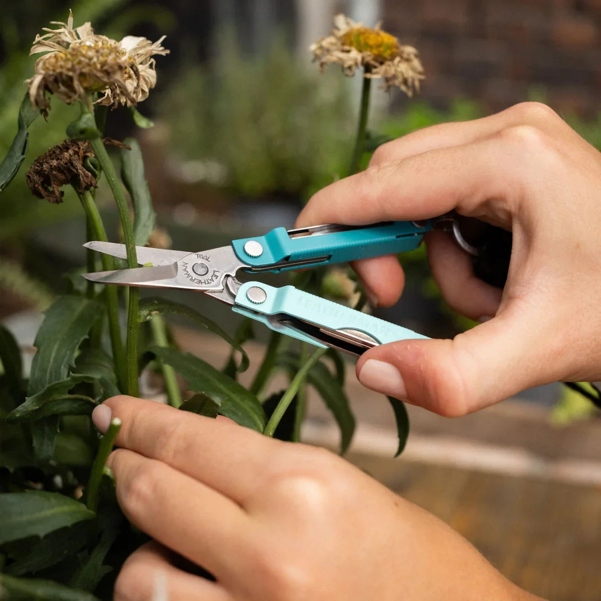 Leatherman Micra Multitool (Various Colours)