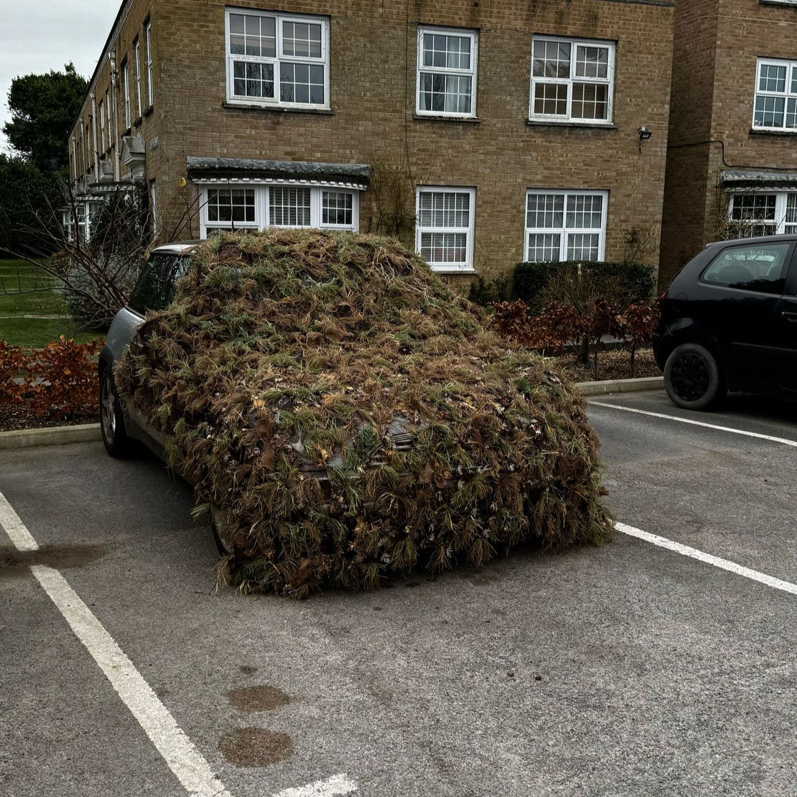 Front three-quarter view of a car concealed under a Zero Alpha Designs ghillie hide sheet, garnish hanging almost to the tarmac