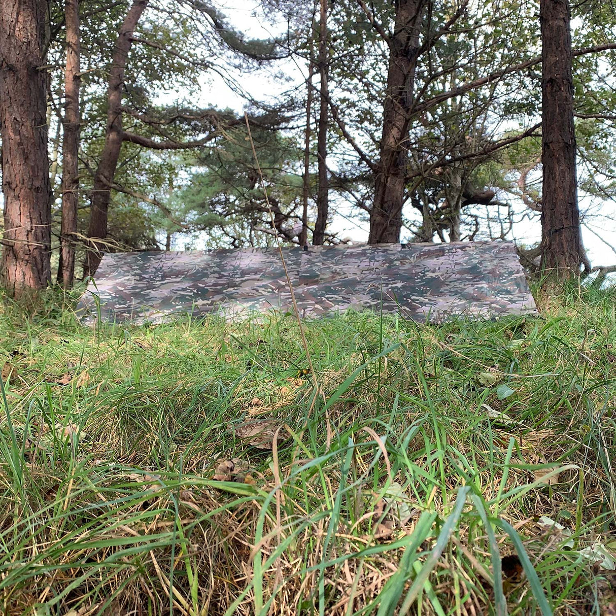 Highlander Basha Tarp - 2.5m x 1.7m - Ripstop Waterproof Shelter 5000mm