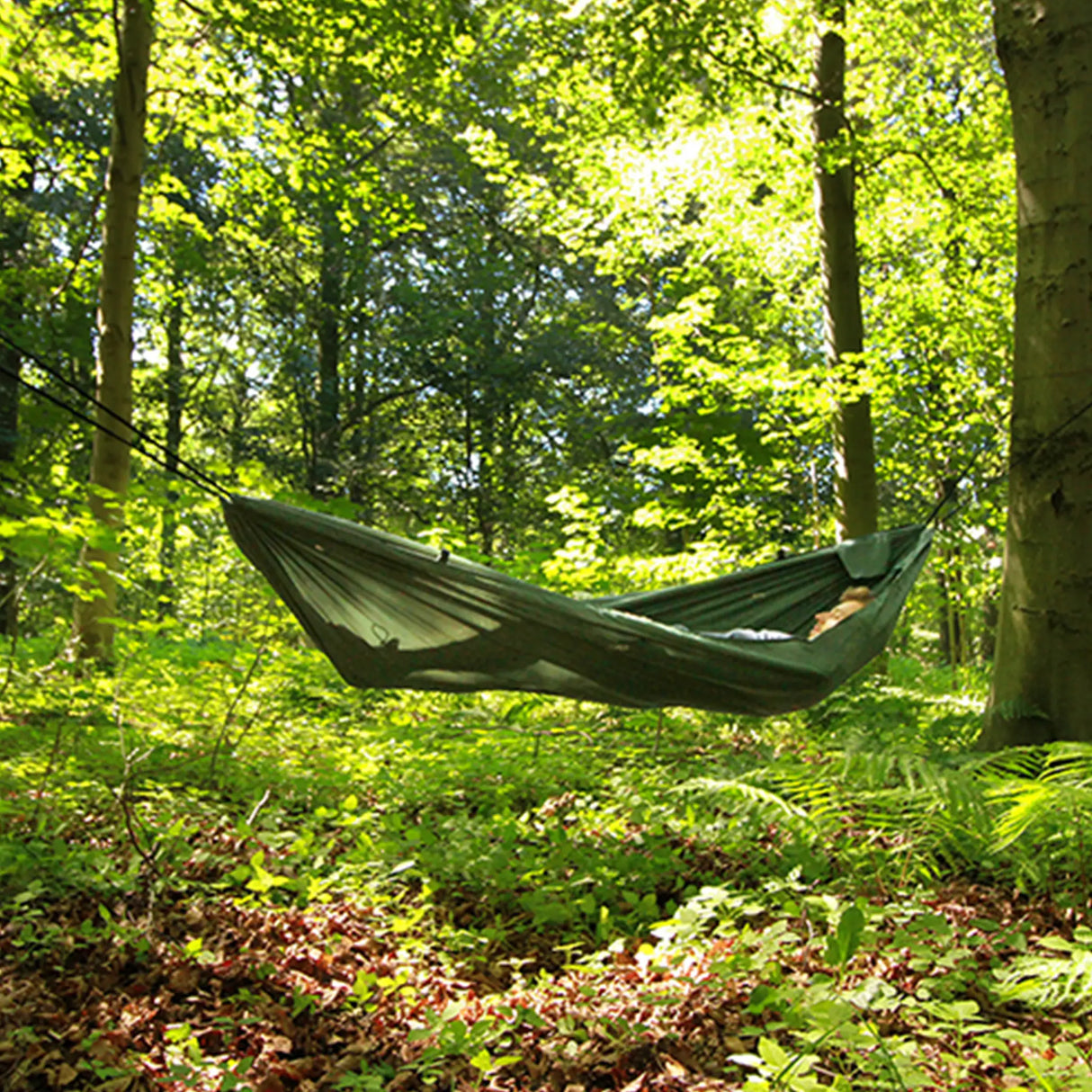 DD Camping Hammock in olive green for camping