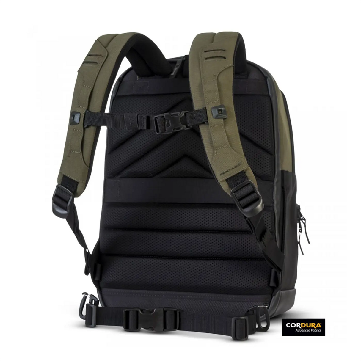 Pentagon Consul 27L Backpack RAL7013 Green Rear | Task Outdoor