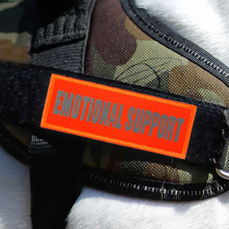 Dog Harness Patches | Task Outdoor