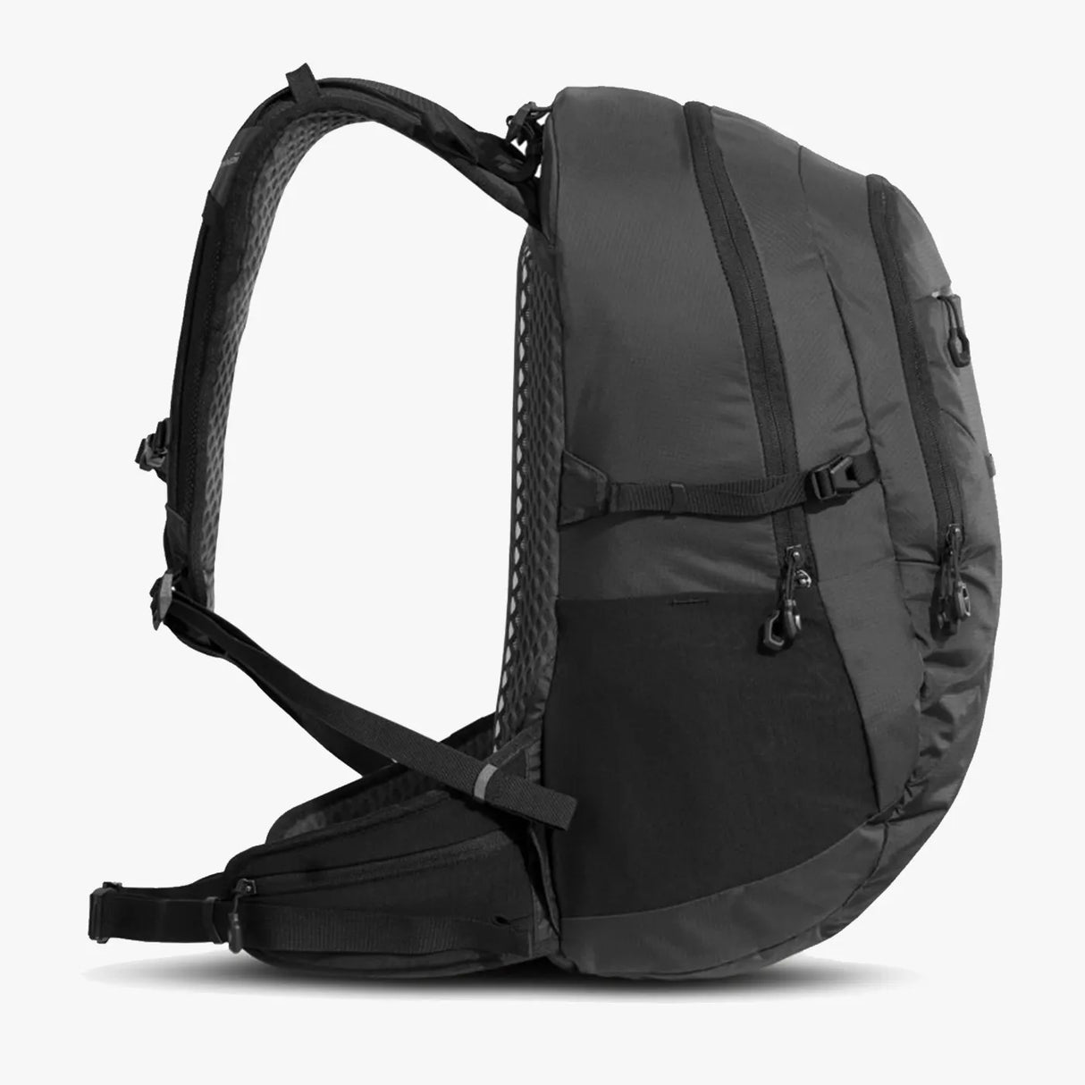 Pentagon Minor Rucksack 28L Black | Task Outdoor