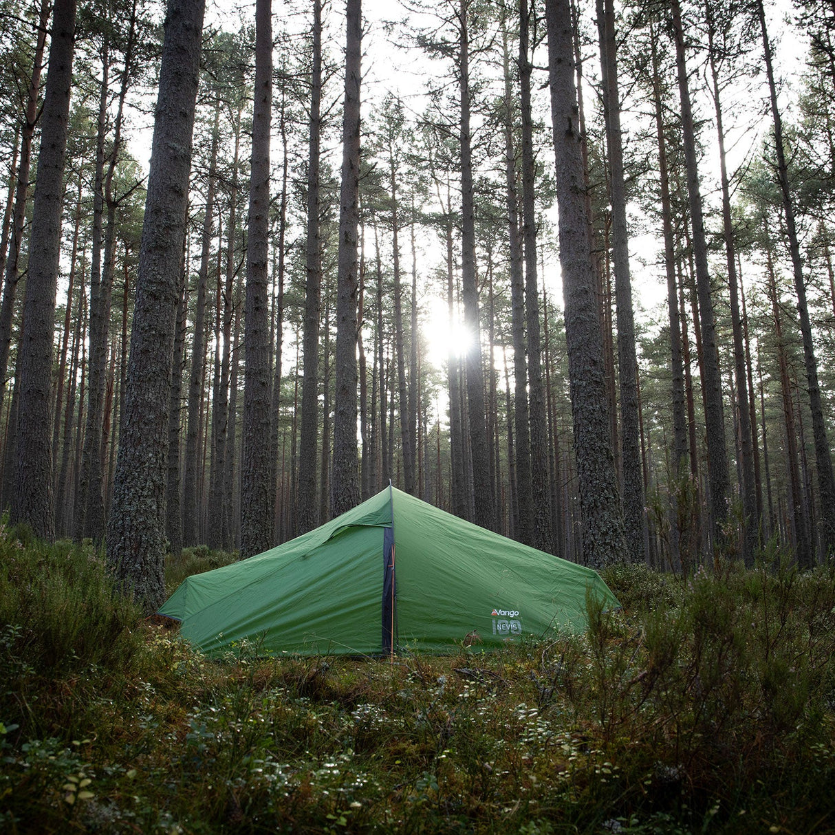 Vango Nevis 100 Tent in green for camping