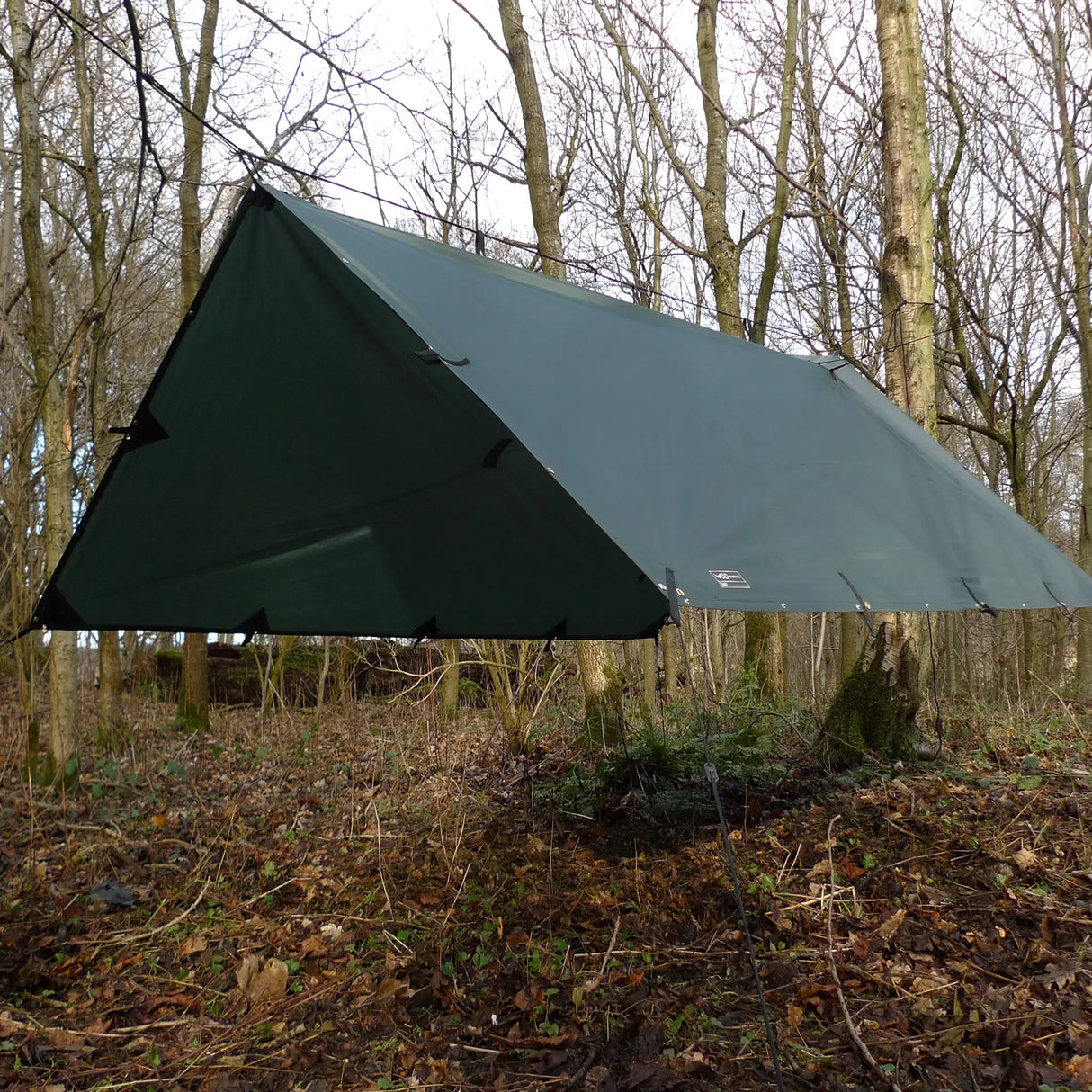 DD 3x3 Pro Tarp in olive green for camping outdoors