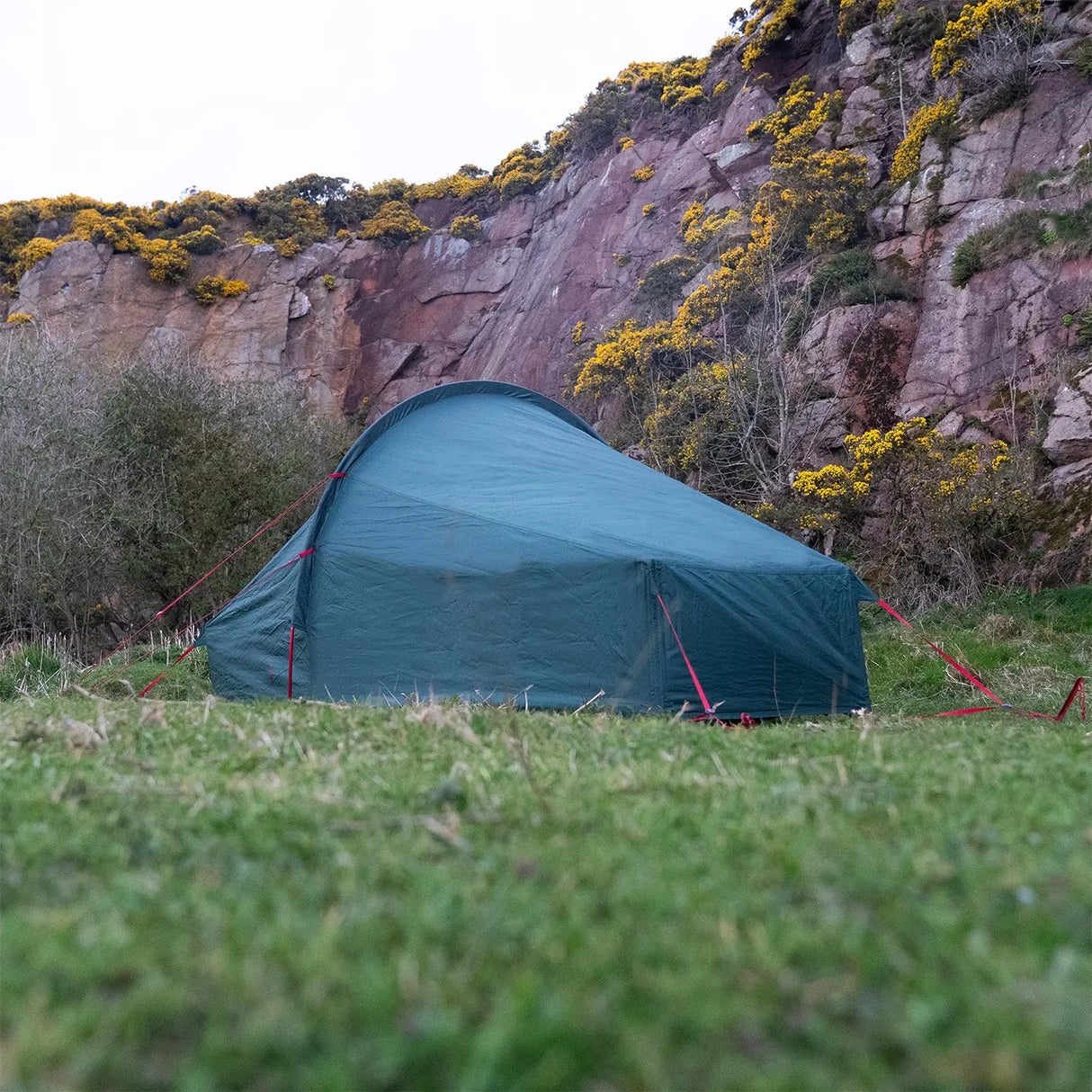 Highlander Refuge 1 Person Tent Pine Green Lifestyle | Task Outdoor
