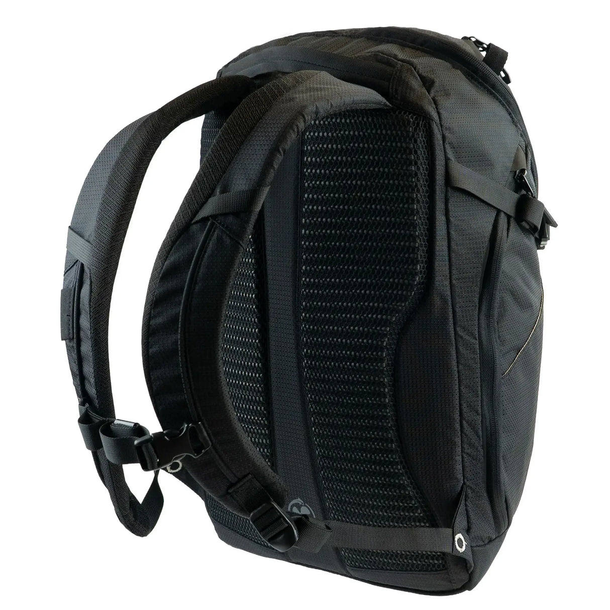 Highlander Roam Backpack 28L in black rear shoulder straps on white background