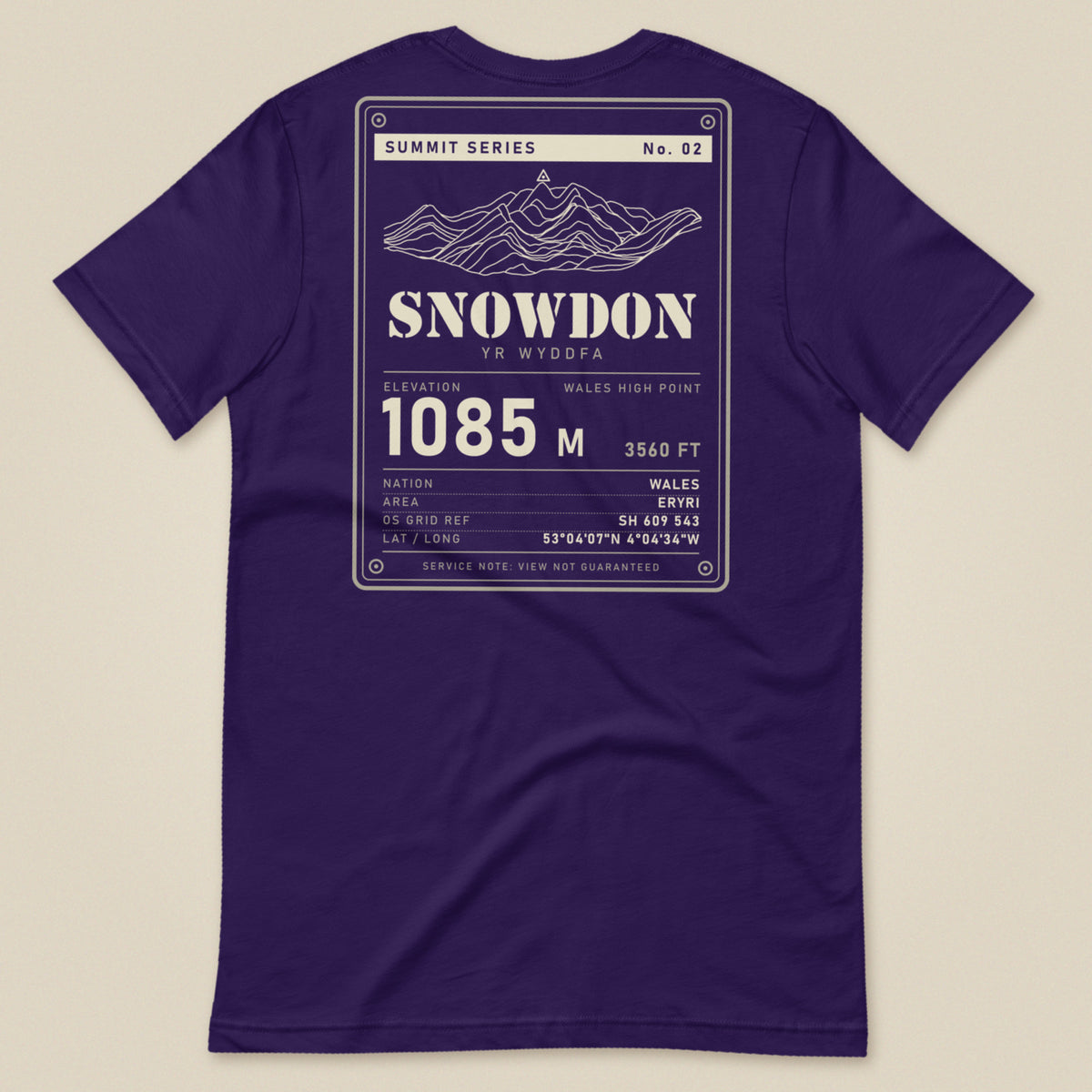 Summit Series Snowdon T-Shirt in Team Purple, laid flat, back view