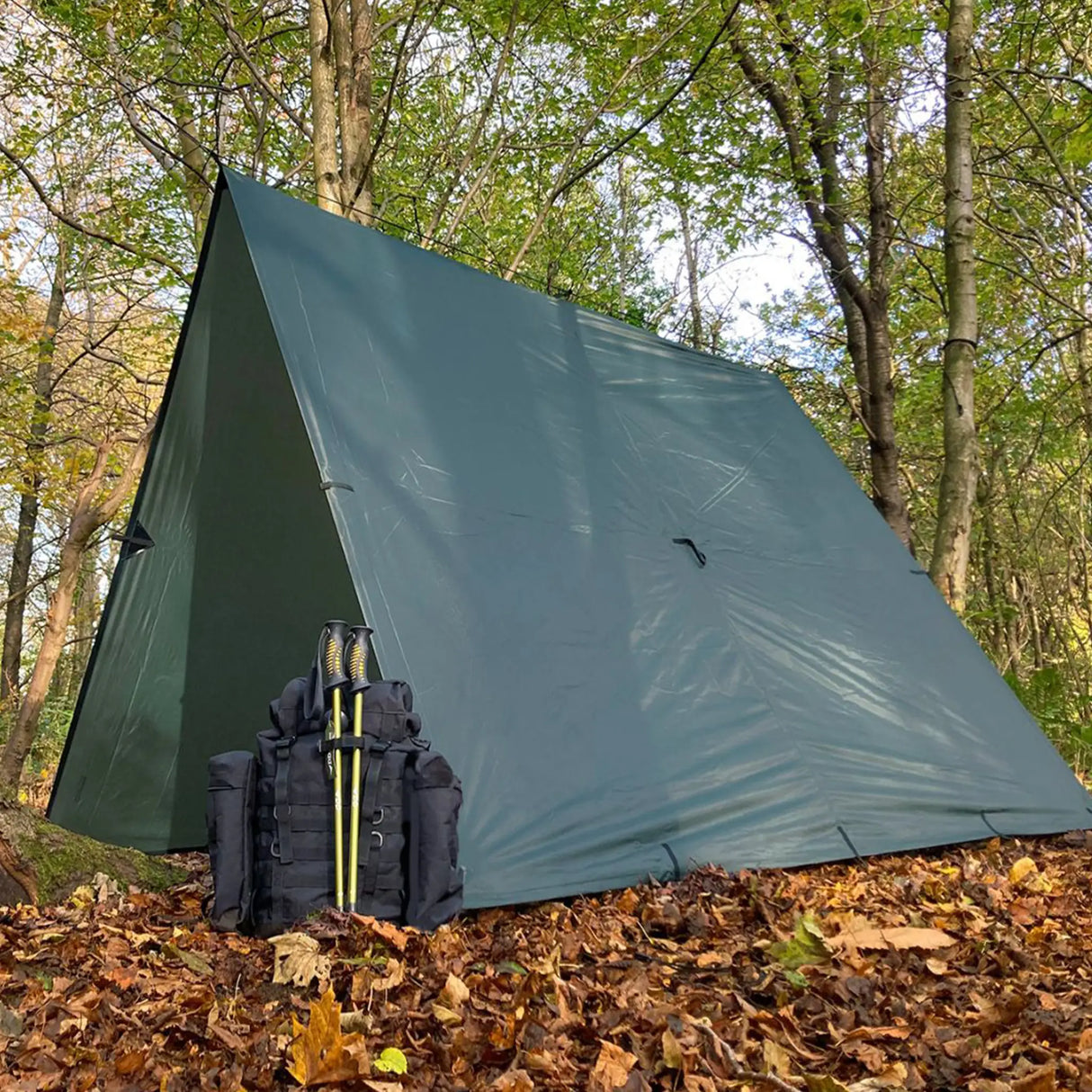 DD Tarp XL in olive green for camping as a tent