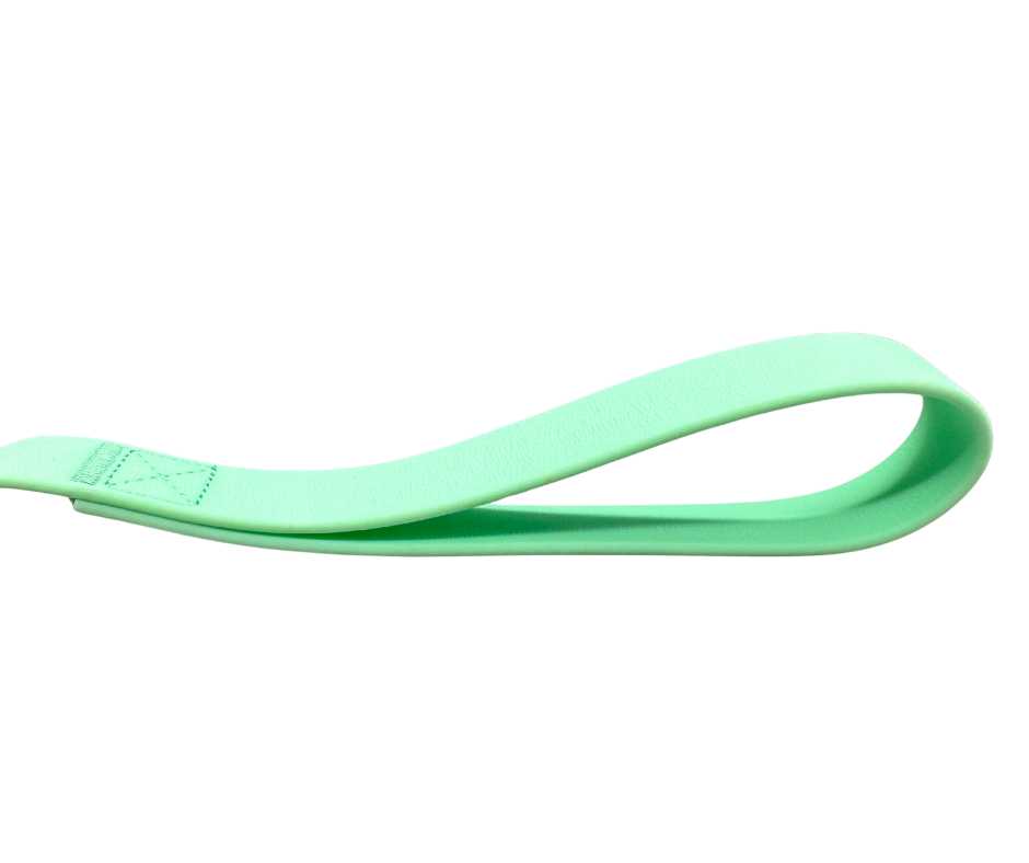 BTactical PVC Frog Clip Dog Lead - Pastel Green