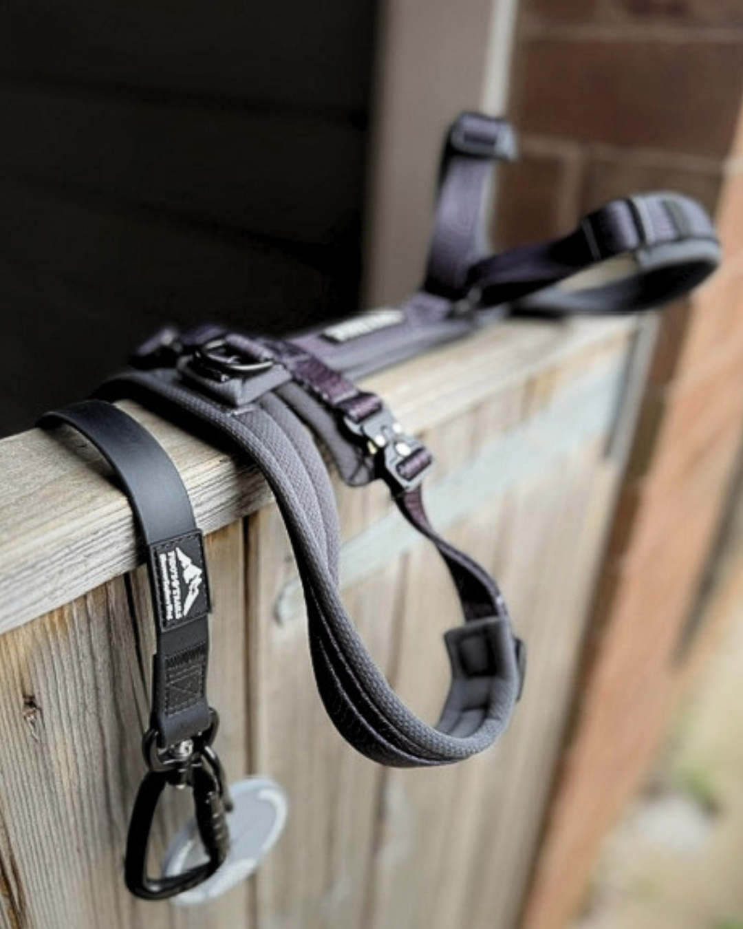 Fido's Trails Contour Freedom Harness | Adjustable Y-Shaped Dog Harness