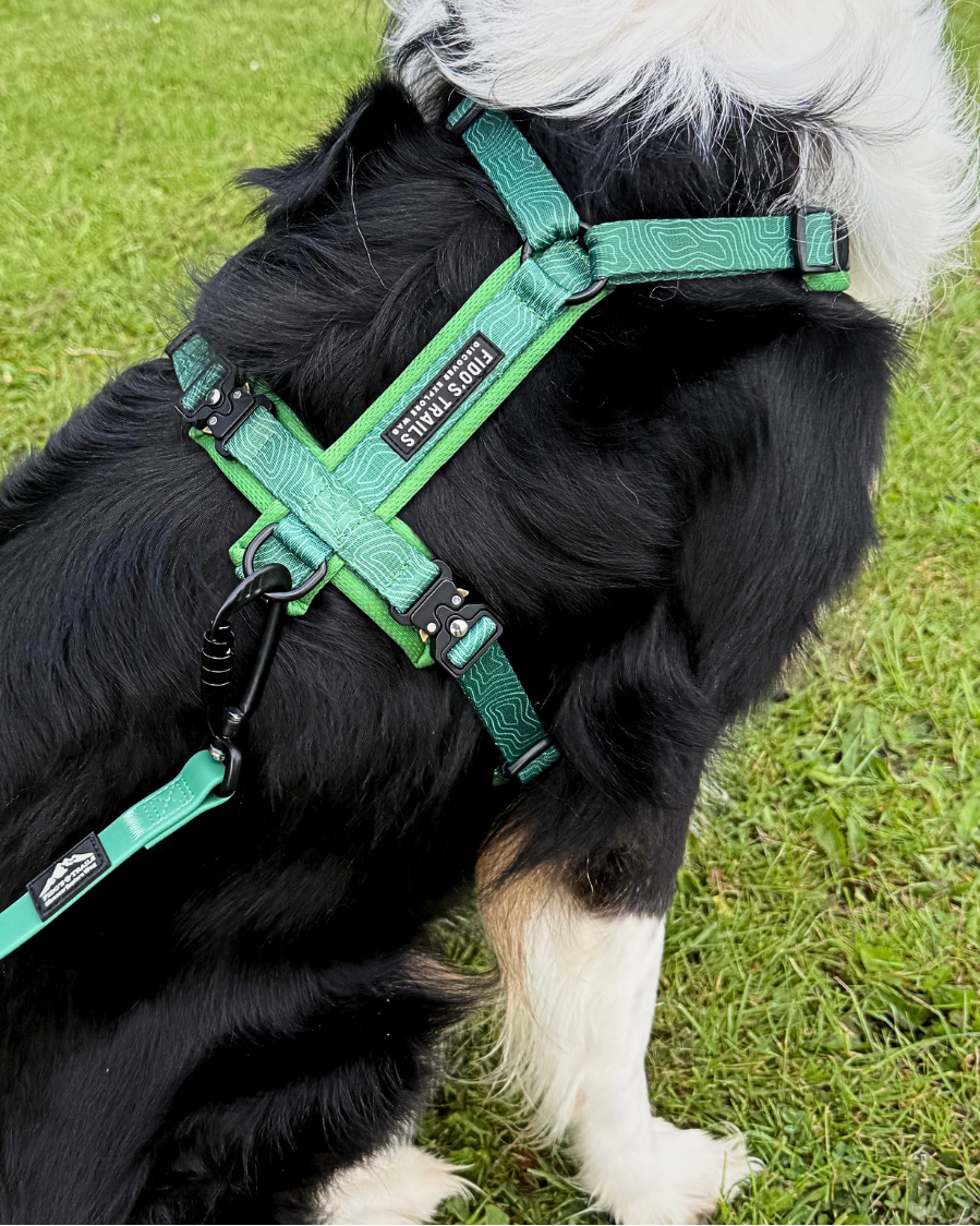 Fido's Trails Contour Freedom Harness | Adjustable Y-Shaped Dog Harness