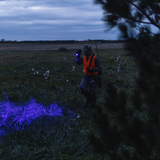 Hunter in a field at dusk shining the Ledlenser P6R Core QC blue light
