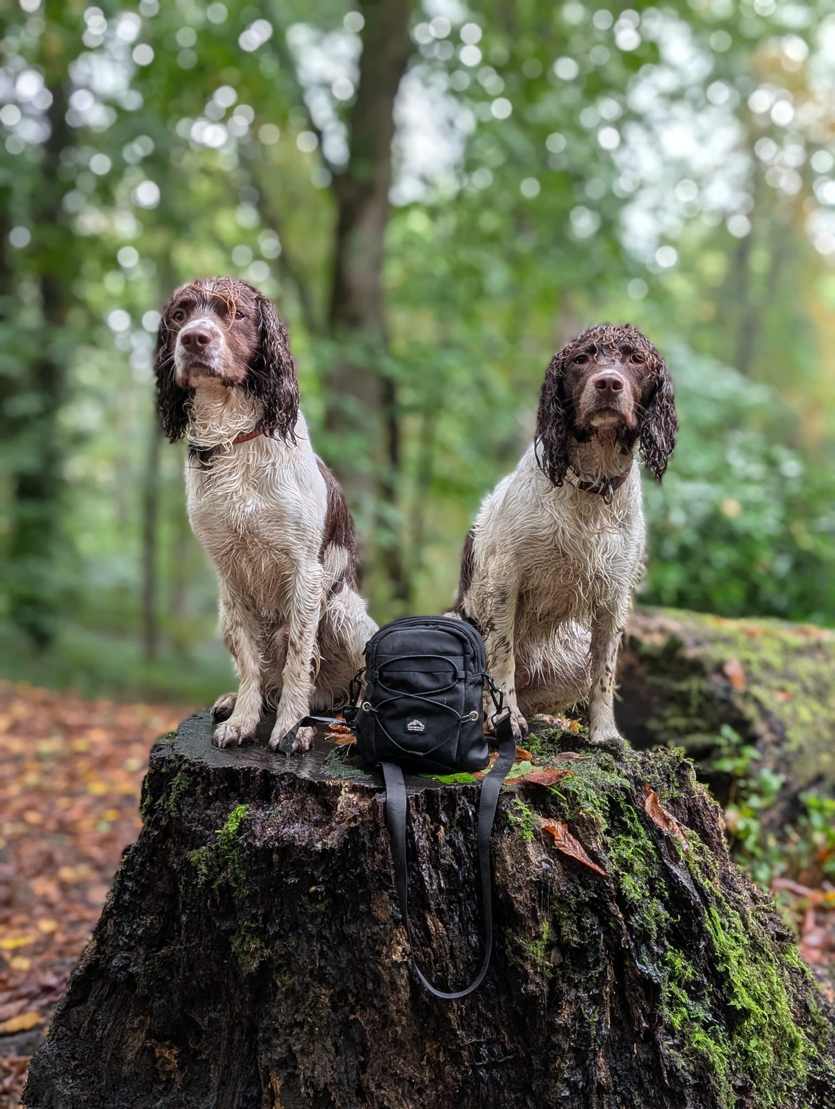 Fido's Trails Tactical Dog Walking Bag | Built-In Poo Bag Dispenser