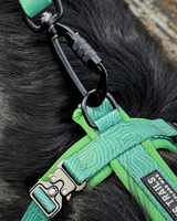 Fido's Trails Contour Freedom Harness | Adjustable Y-Shaped Dog Harness
