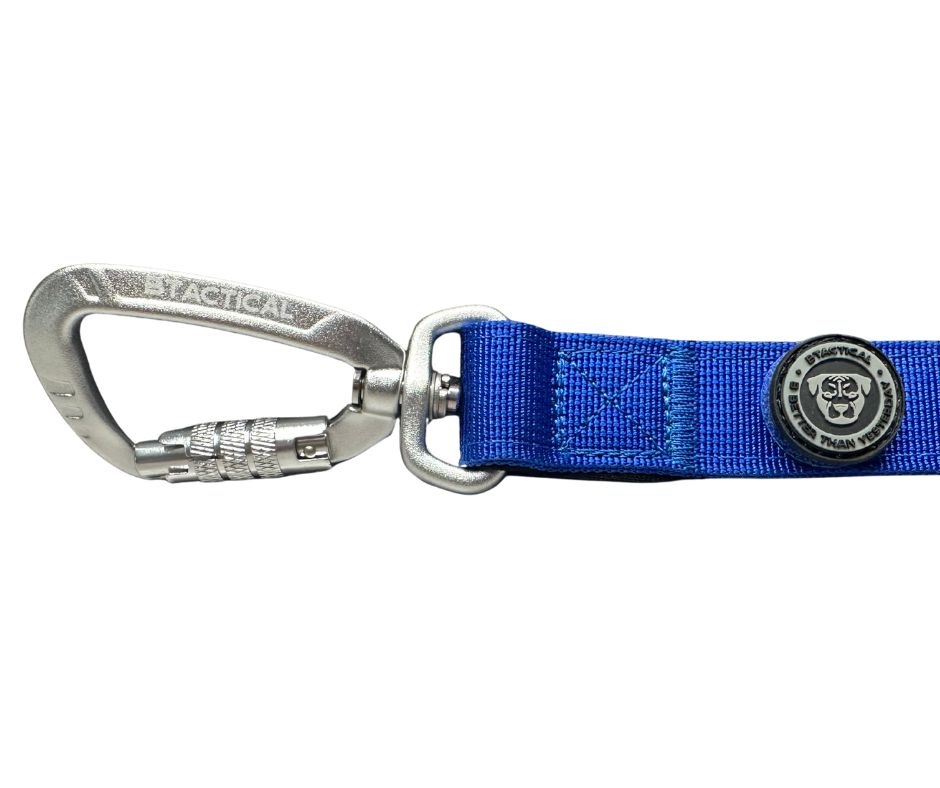 BTactical Nylon Carabiner Clip Dog Lead - Royal Blue