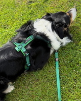 Fido's Trails Contour Freedom Harness | Adjustable Y-Shaped Dog Harness