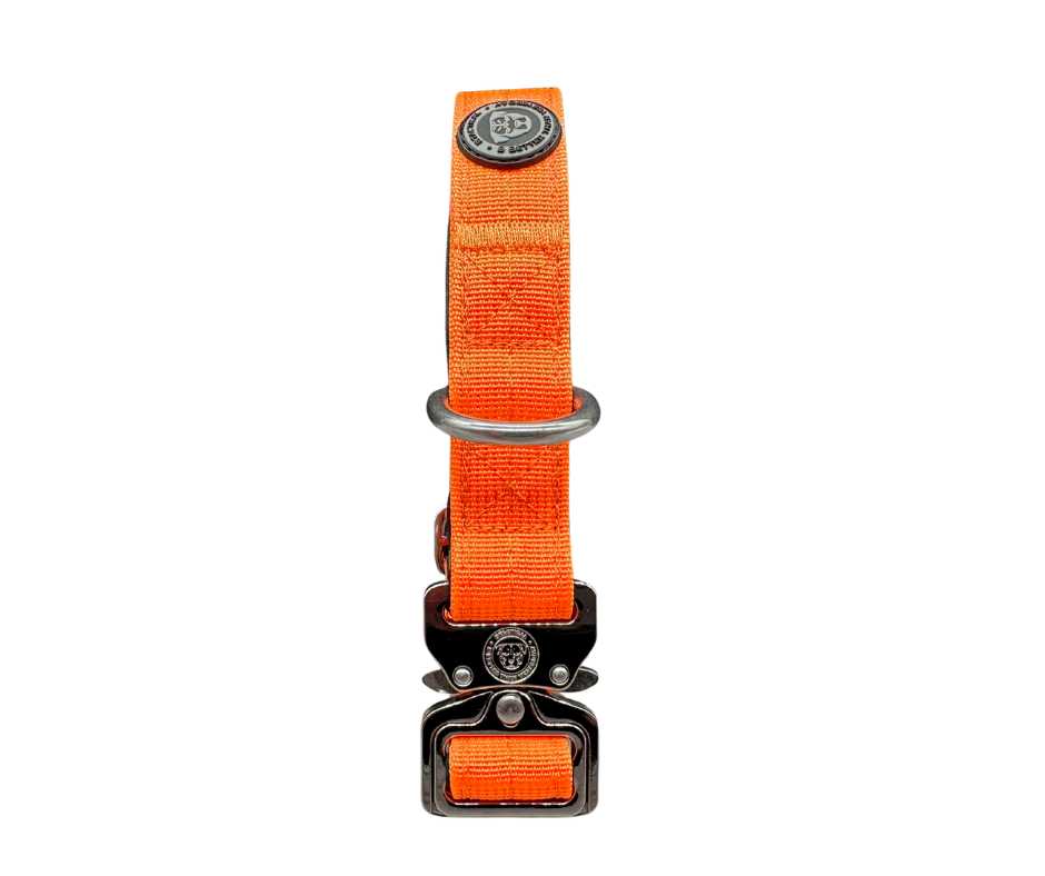 BTactical 2.5cm Nylon Dog Collar - Citrus Orange
