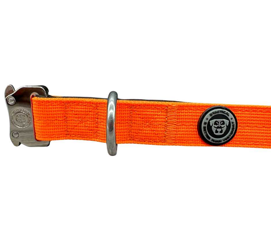 BTactical 2.5cm Nylon Dog Collar - Citrus Orange