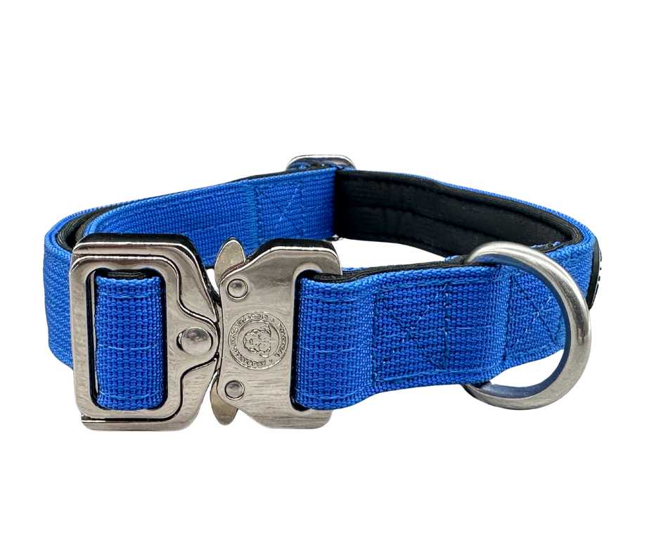 BTactical 2.5cm Nylon Dog Collar - Royal Blue