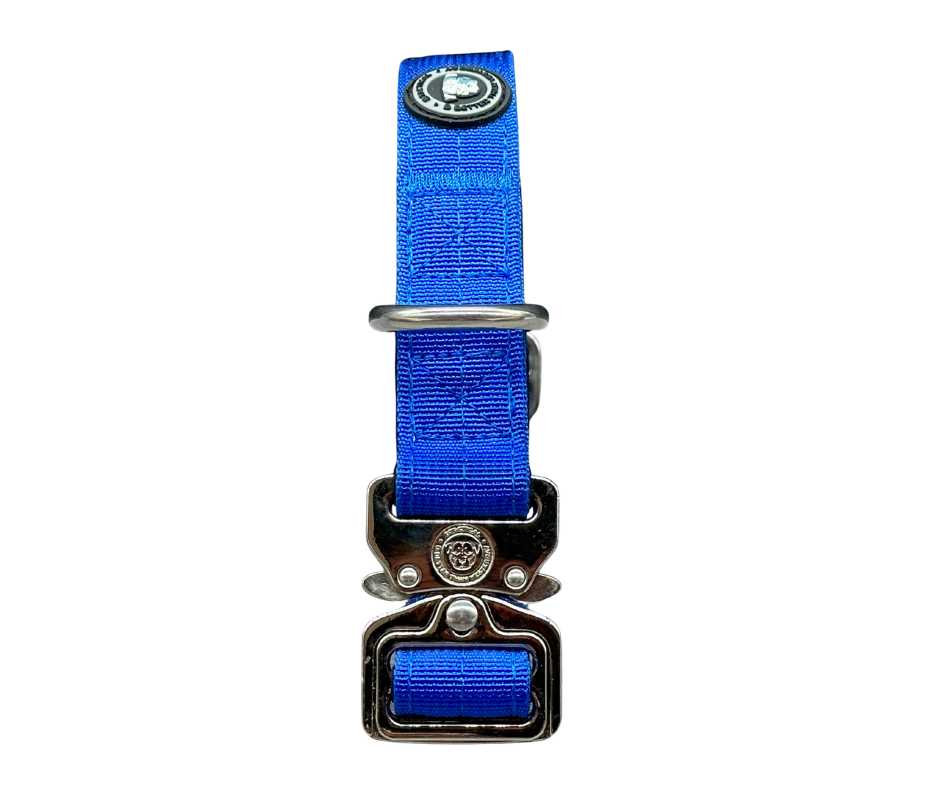 BTactical 2.5cm Nylon Dog Collar - Royal Blue