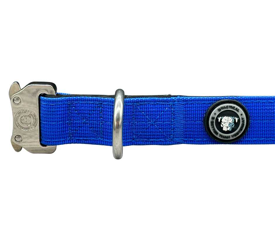 BTactical 2.5cm Nylon Dog Collar - Royal Blue