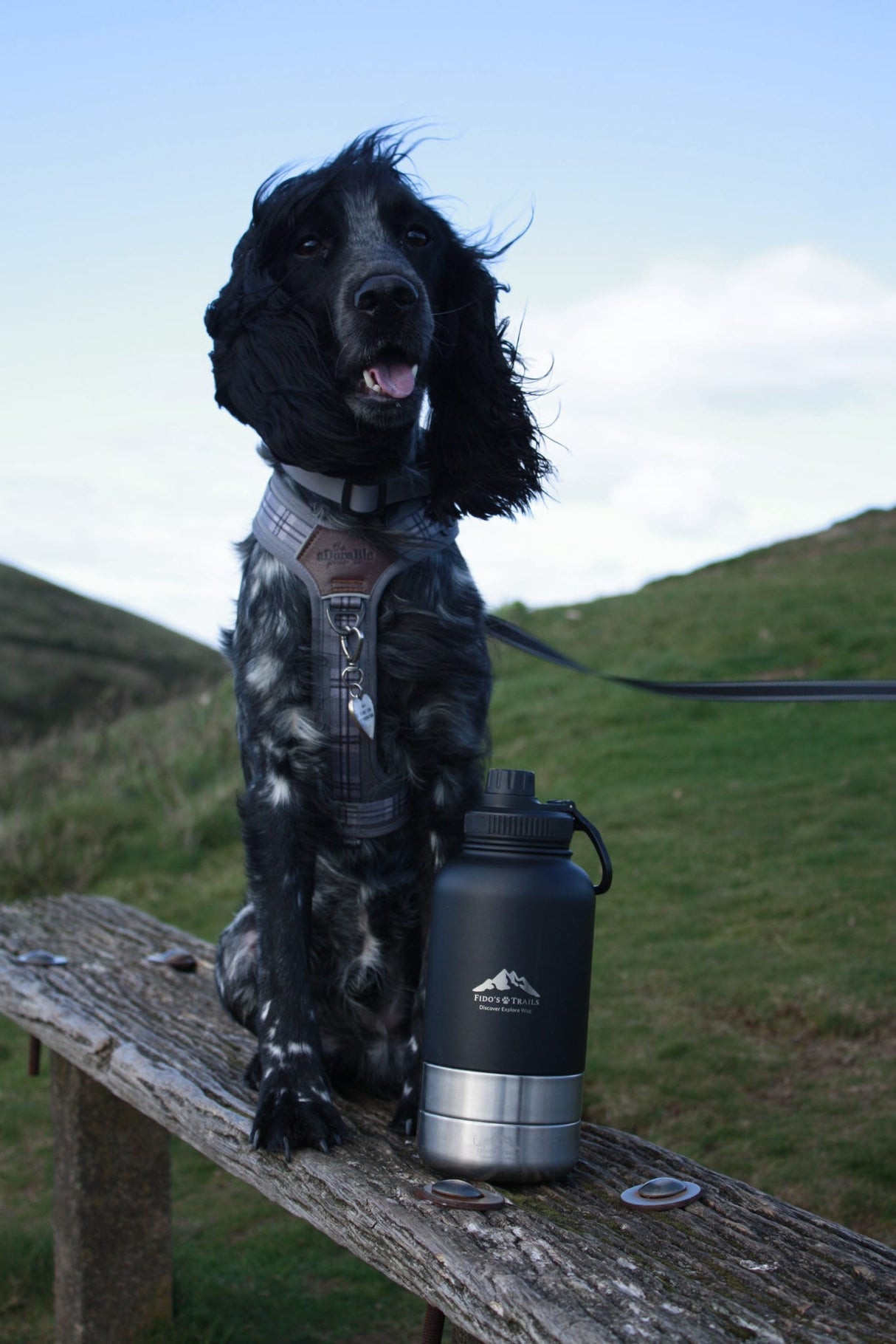 Fido's Trails 3-in-1 Water Bottle with Detachable Bowls – For Dogs & Owners, 1 Litre Black