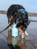 Fido’s Trails 3-in-1 Water Bottle with Detachable Bowls – Coastal Blue | 1 Litre Adventure-Ready Hydration for Dogs & Owners