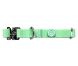 BTactical Puppy PVC Dog Collar - Pastel Green