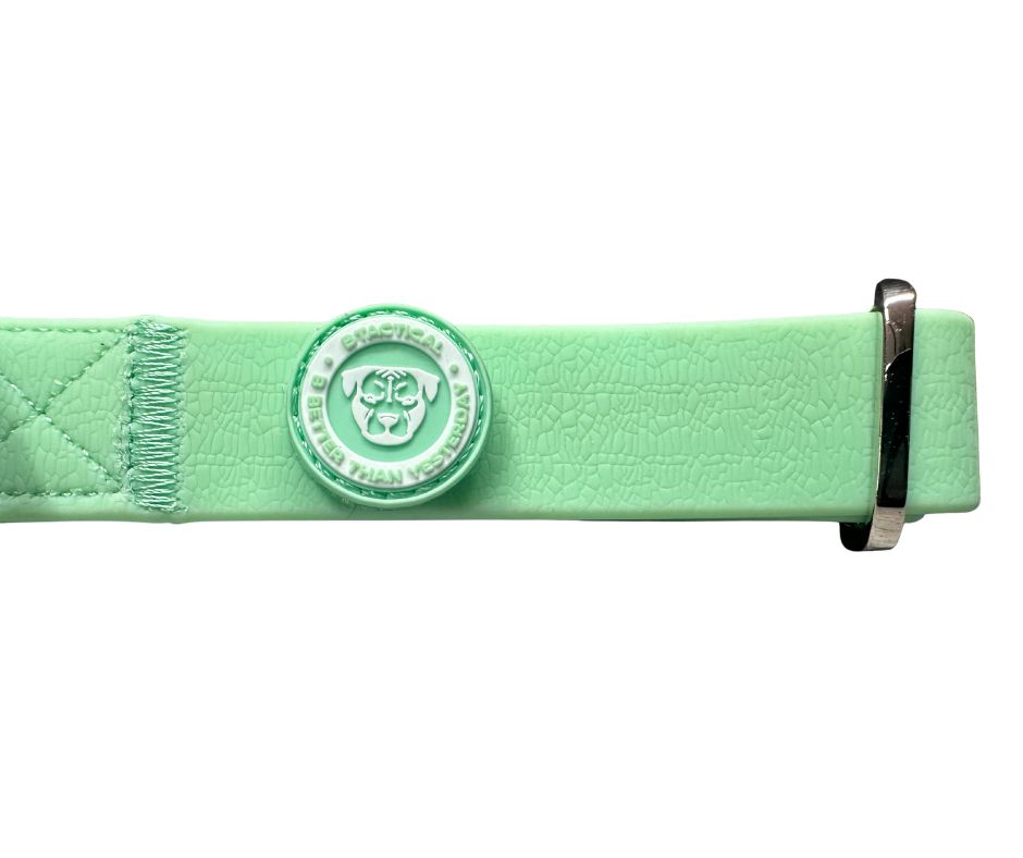 BTactical Puppy PVC Dog Collar - Pastel Green