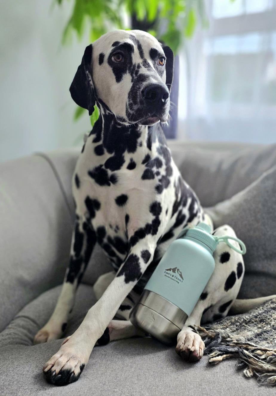 Fido’s Trails 3-in-1 Water Bottle with Detachable Bowls – Coastal Blue | 1 Litre Adventure-Ready Hydration for Dogs & Owners