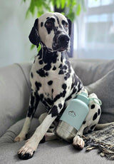 Fido’s Trails 3-in-1 Water Bottle with Detachable Bowls – Coastal Blue | 1 Litre Adventure-Ready Hydration for Dogs & Owners