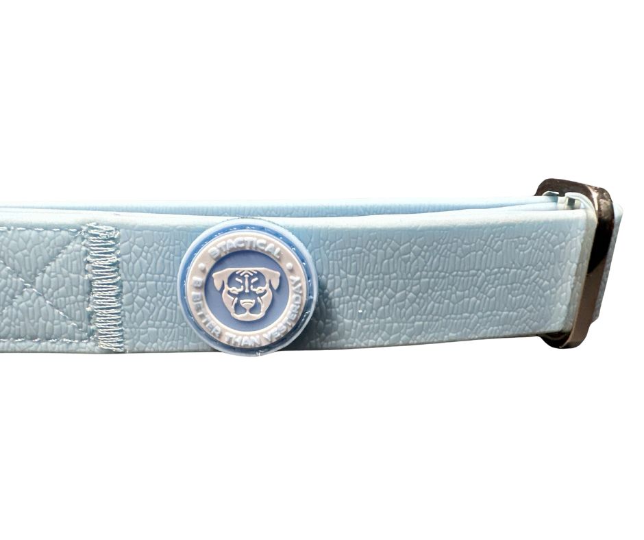 BTactical 2.5cm PVC Dog Collar - Pastel Blue