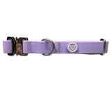 BTactical 2.5cm PVC Dog Collar - Pastel Purple