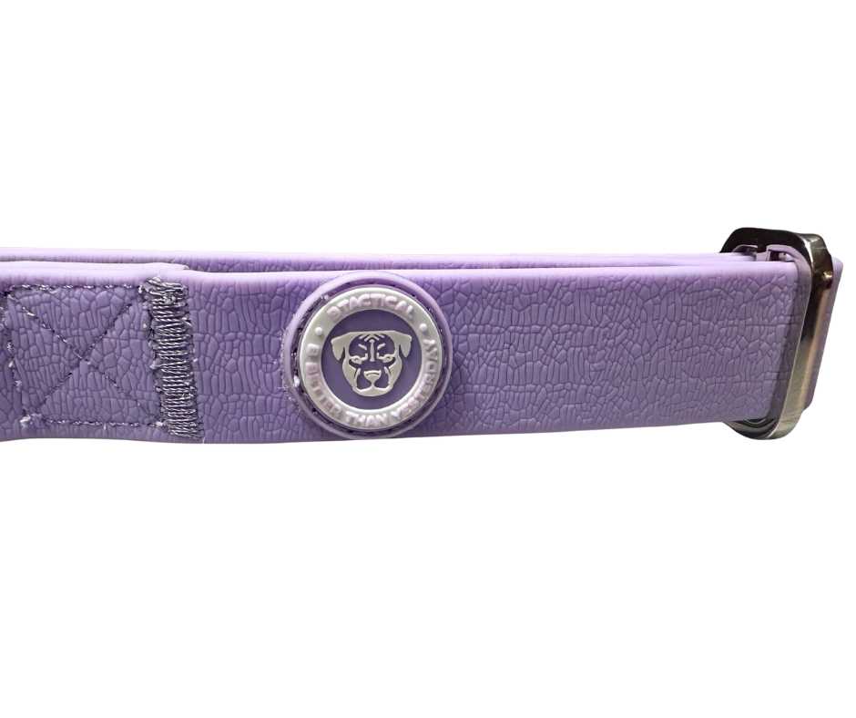 BTactical 2.5cm PVC Dog Collar - Pastel Purple